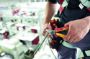 Afbeelding - https-www-ez-catalog-nl-Asset-5845d254e59447ca9b30a4cf4513fb88-ImageFullSize-Anw-Z14106-TriCut-electric-01-jpg